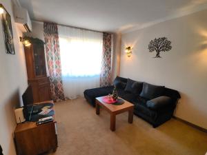 Bansko Peak Apartments 116