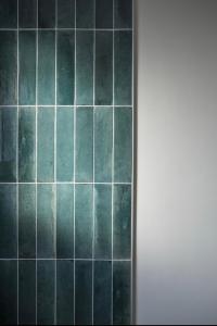 Magnifique villa piscine au coeur de Seignosse