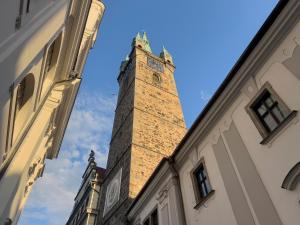 Hello Klatovy - aprtmán se zahradou