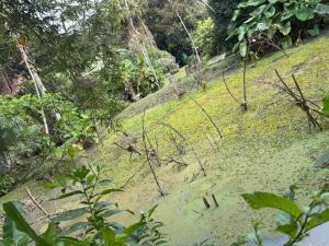 EcoPolis el queremal entrada