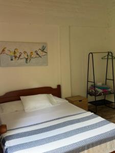 ecopolis hospedaje birding
