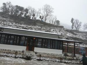 Green View, devalsari