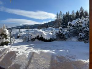 Apartament Królewski Superior z sauną