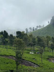 Sunflower Villa Cottage Coonoor