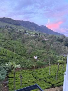 Sunflower Villa Cottage Coonoor