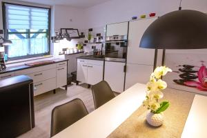 Terassenblick am See