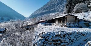 Nomad by Hora cu Brazi