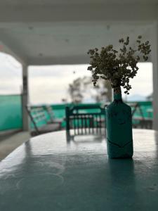 Ramashrya Homestay & cafe