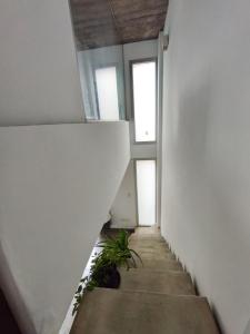 Departamento dúplex
