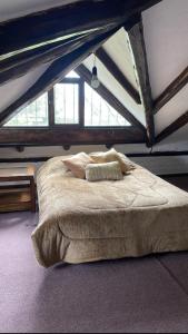 Pifo Pool House free Airport pickup Tours