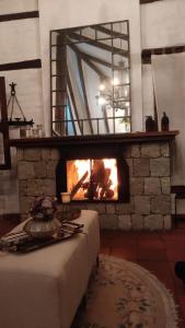 Pifo Pool House free Airport pickup Tours