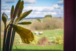 2 Bed in Cardiff oc-91710