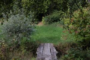 Schwollbachhof - Naturerlebnis im Hunsrück