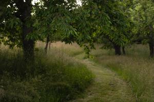 Schwollbachhof - Naturerlebnis im Hunsrück