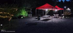 Cabañas Parque Rústico en Villarrica