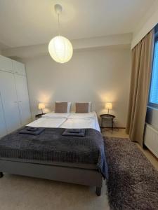 Cozy 43m2 Apartment ,Walking Distance to Downtown