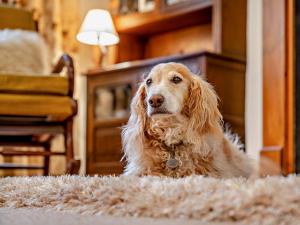 1 Bed in Penrith oc-91812