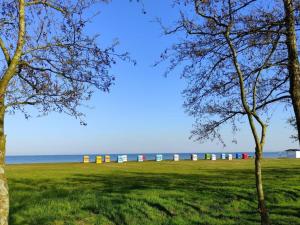 Starfish Modern Retreat