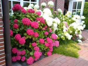 Watthuus Kiebitzhörn ground floor