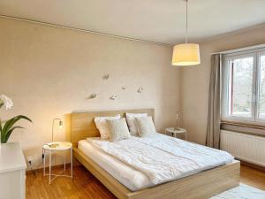 Horizon Lac - wifi - parking