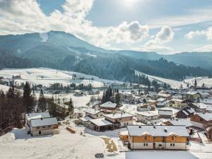 Apartment Dachstein West T5 by Interhome