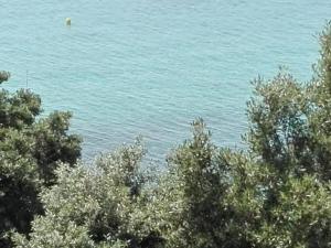 Apartment Mia Mandre für vier Personen by Interhome