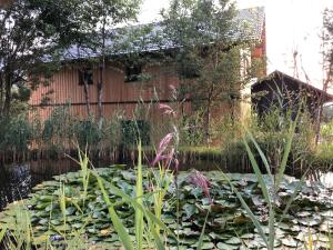 Apartment Nette Wohnung in Bad Aussee mit Garten und Grill und Bergblick by Interhome