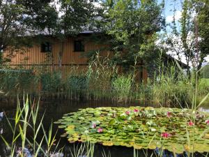 Apartment Charmante Ferienwohnung in Bad Aussee mit Grill und Garten und Bergblick by Interhome