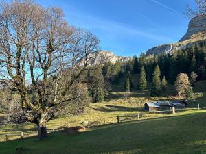 Apartment Im Obhegli by Interhome