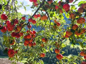 Holiday Home Spycher Niederwald by Interhome