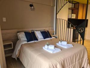 Departamento en Capital- Anden 735