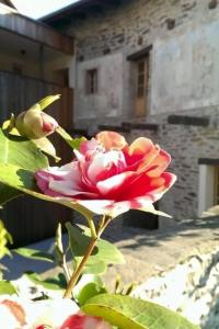 Apartment Corte delle Camelie - Wohnung im ersten Stock by Interhome