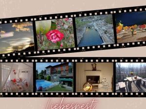 Apartment Liebesnest by Interhome