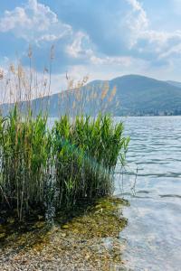 Apartment Residenza Contessa by Interhome