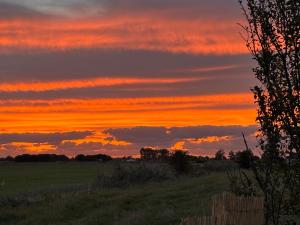Le Lièvre & La Tortue