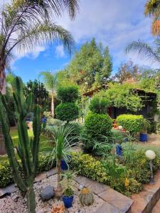 Private Villa, Pool, Gym, Atlas View