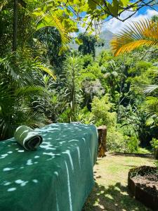 Vale Vijaya bem estar em meio à natureza