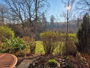 Ferienwohnung NaturBlick am Rothaarsteig mit Terrasse & gratis PKW Parkplatz & Highspeed Internet Flatrate & XXL Boxspringbett in Brilon 10 Minuten bis Willingen Ideal für Touristen und Geschäftsleute mit MWSt-Rechnung