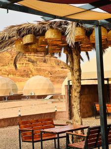 Rum Ronza Luxury Camp