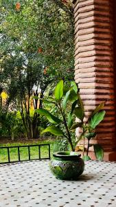 Très joli Appart à la palmeraie coup de cœur