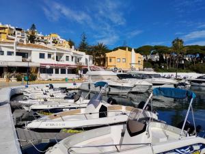 Unique Villa Scandinavia Marbella