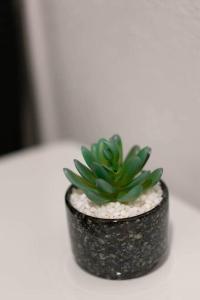 Fort Haven: Gateway to Killeen