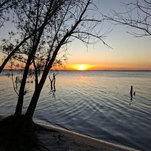 Studio Com Jacuzzi 50m da Praia