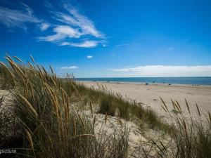 5 person holiday home in Blåvand-By Traum