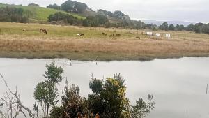 Cabaña Refugio Millalobo Ancud