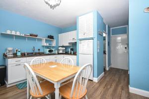 Cedar Key Turtle 132