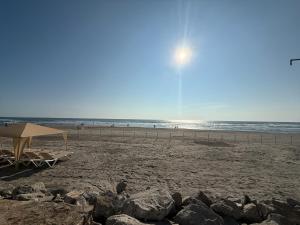 Mayan Playa Departamento Tikal