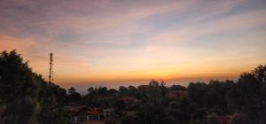 Texas Homes Meru 1 and 2 Bedroom Apartments