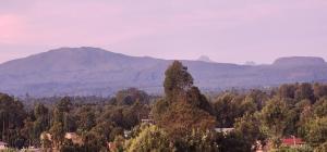 Texas Homes Meru 1 and 2 Bedroom Apartments