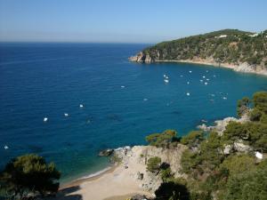 Apartmán Apartamentos Cala Llevado Tossa de Mar Španělsko